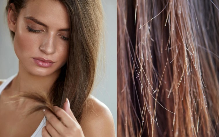 How Do Split Ends Under Microscope Look and Other Helpful ...
